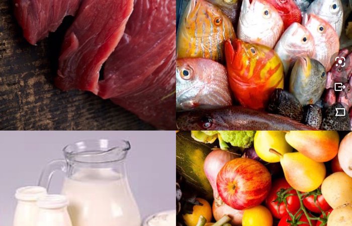 Снижает ли вибрации человека употребление в пищу мяса, рыбы и молочной продукции?