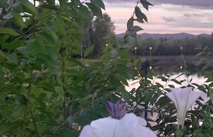 Радуйтесь,любимые!