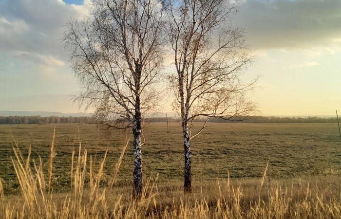 Песнь древности