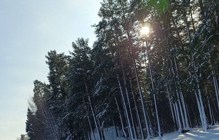 Опять танцует рифма в заснеженных сердцах