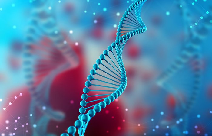 Почему ДНК это двойная спираль?  Кириллова Ирина